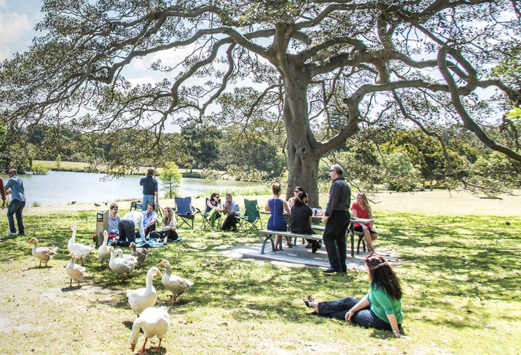 Modern Cultural Oasis